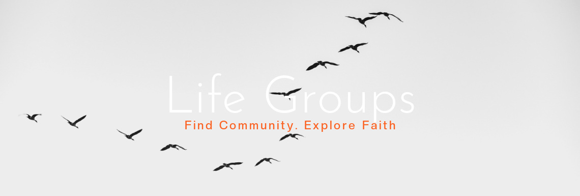 life groups one